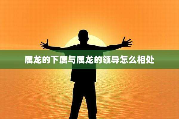 属龙的下属与属龙的领导怎么相处