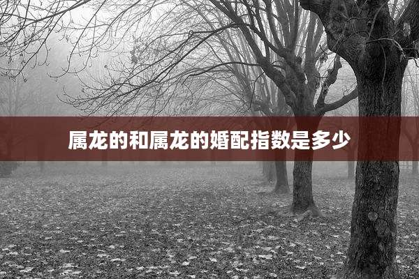 属龙的和属龙的婚配指数是多少