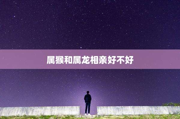 属猴和属龙相亲好不好