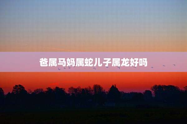 爸属马妈属蛇儿子属龙好吗