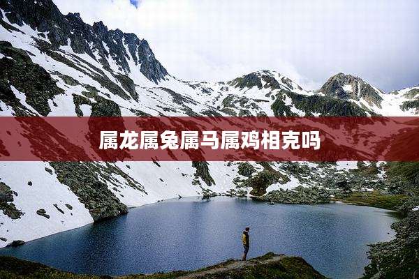 属龙属兔属马属鸡相克吗