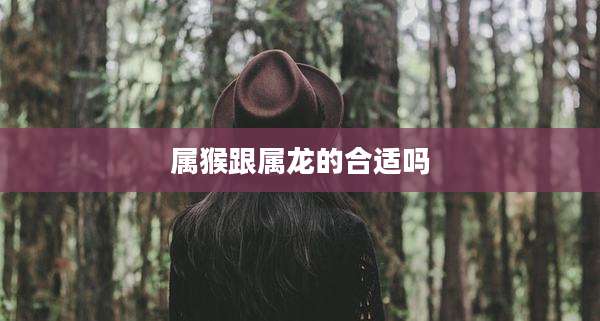 属猴跟属龙的合适吗