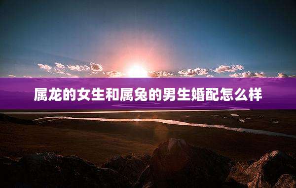 属龙的女生和属兔的男生婚配怎么样