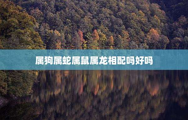 属狗属蛇属鼠属龙相配吗好吗