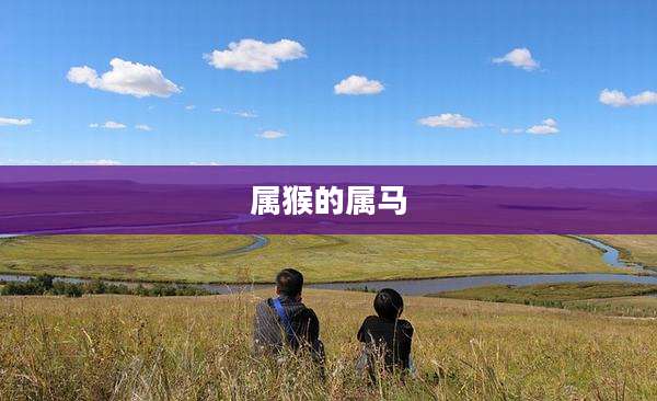 属猴的属马