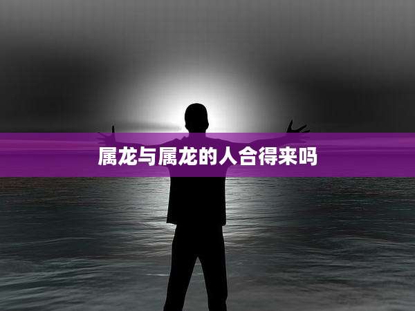 属龙与属龙的人合得来吗