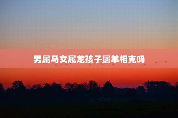 男属马女属龙孩子属羊相克吗