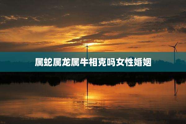 属蛇属龙属牛相克吗女性婚姻