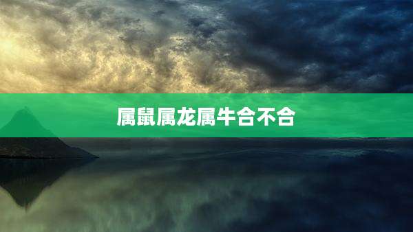属鼠属龙属牛合不合