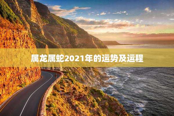属龙属蛇2021年的运势及运程