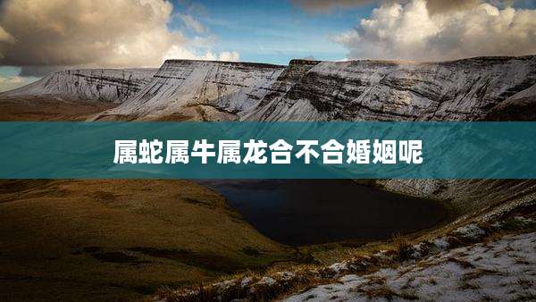 属蛇属牛属龙合不合婚姻呢