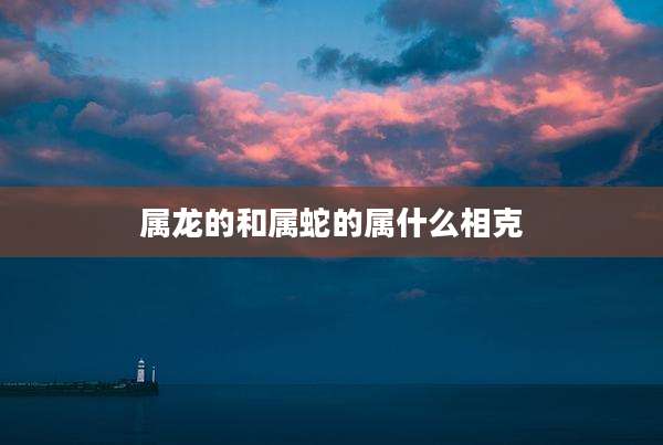 属龙的和属蛇的属什么相克