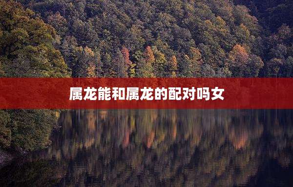 属龙能和属龙的配对吗女