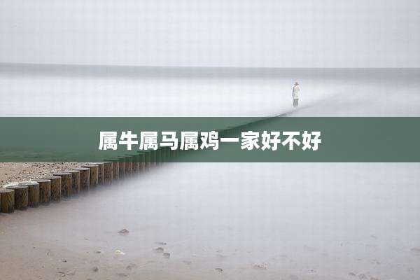 属牛属马属鸡一家好不好