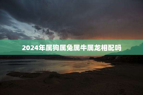 2024年属狗属兔属牛属龙相配吗