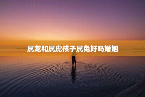 属龙和属虎孩子属兔好吗婚姻