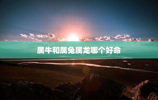 属牛和属兔属龙哪个好命