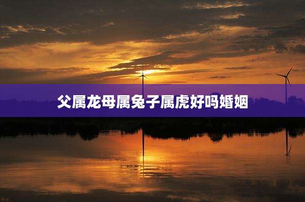 父属龙母属兔子属虎好吗婚姻