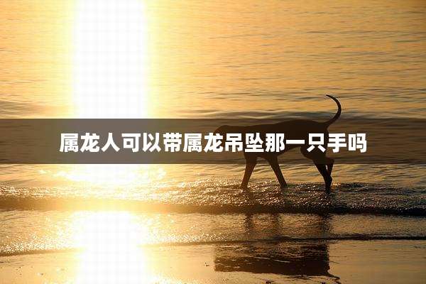 属龙人可以带属龙吊坠那一只手吗