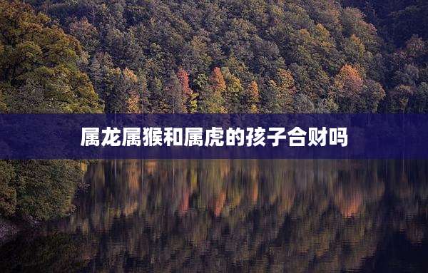 属龙属猴和属虎的孩子合财吗