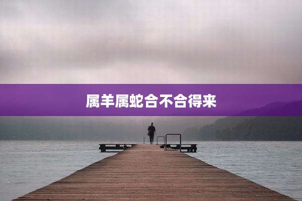 属羊属蛇合不合得来