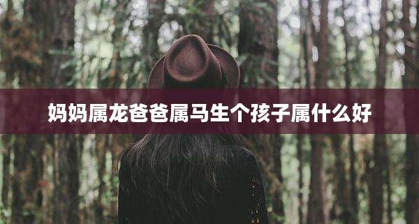 妈妈属龙爸爸属马生个孩子属什么好