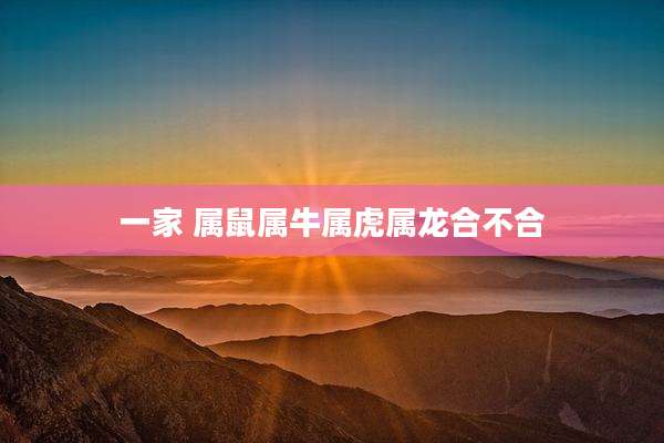 一家 属鼠属牛属虎属龙合不合
