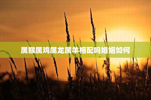 属猴属鸡属龙属羊相配吗婚姻如何