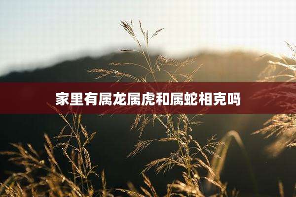 家里有属龙属虎和属蛇相克吗