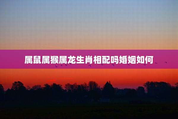 属鼠属猴属龙生肖相配吗婚姻如何