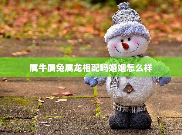 属牛属兔属龙相配吗婚姻怎么样