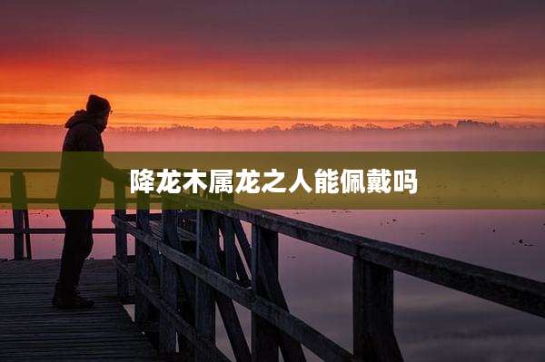 降龙木属龙之人能佩戴吗