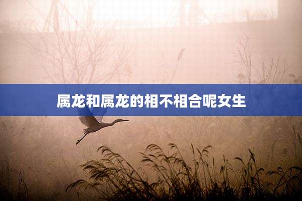 属龙和属龙的相不相合呢女生