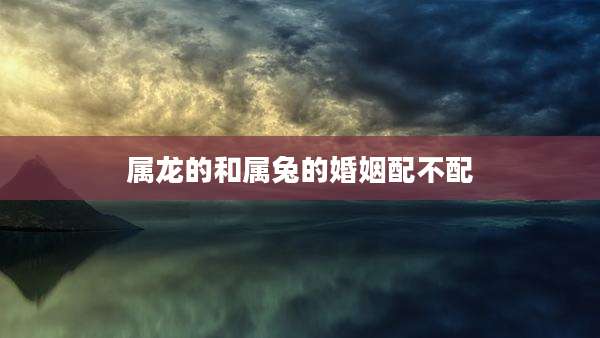 属龙的和属兔的婚姻配不配