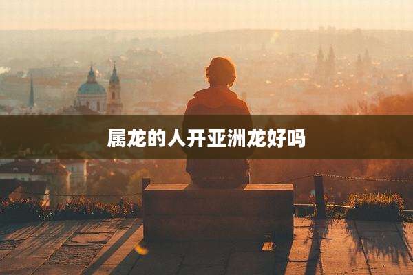 属龙的人开亚洲龙好吗