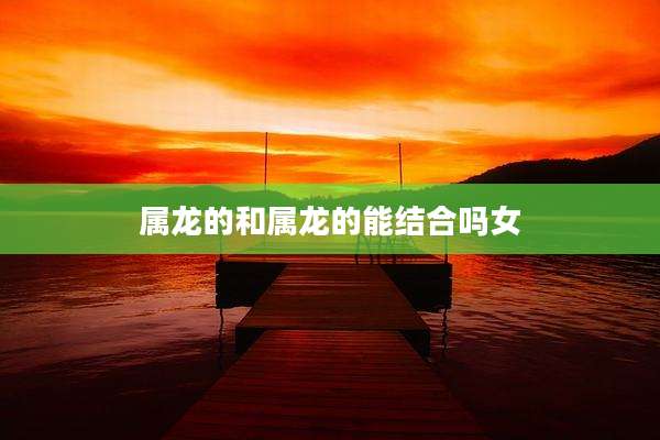 属龙的和属龙的能结合吗女