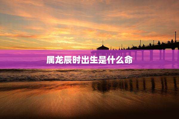 属龙辰时出生是什么命