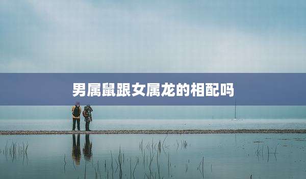 男属鼠跟女属龙的相配吗