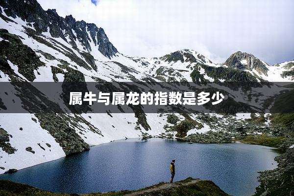属牛与属龙的指数是多少