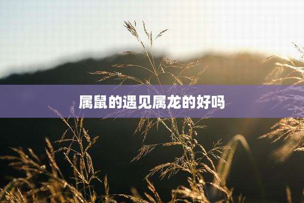 属鼠的遇见属龙的好吗