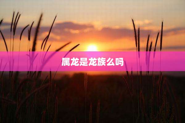 属龙是龙族么吗