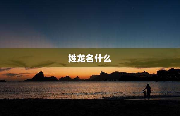 姓龙名什么