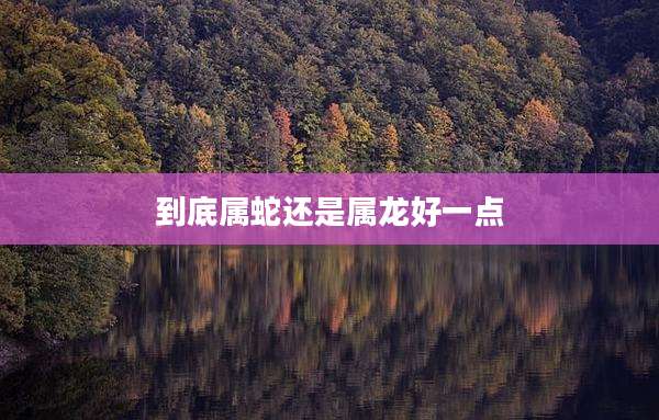 到底属蛇还是属龙好一点