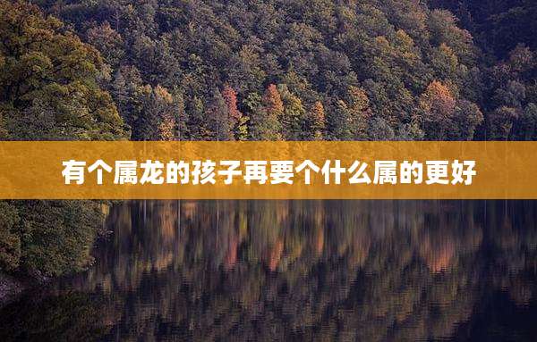 有个属龙的孩子再要个什么属的更好
