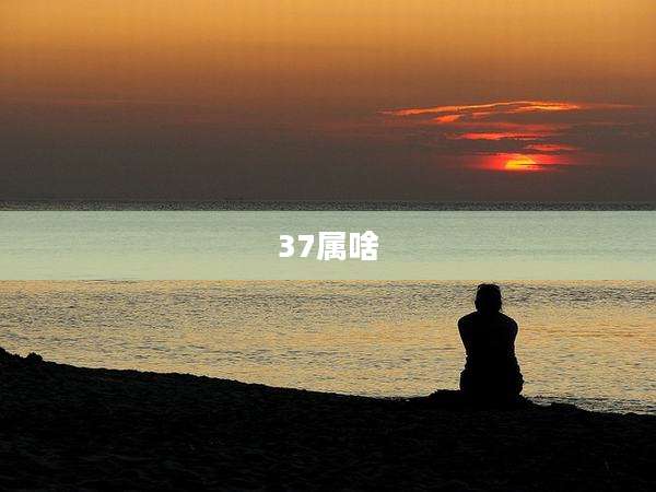 37属啥
