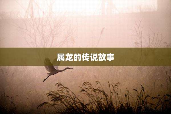 属龙的传说故事