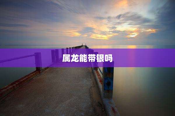 属龙能带银吗