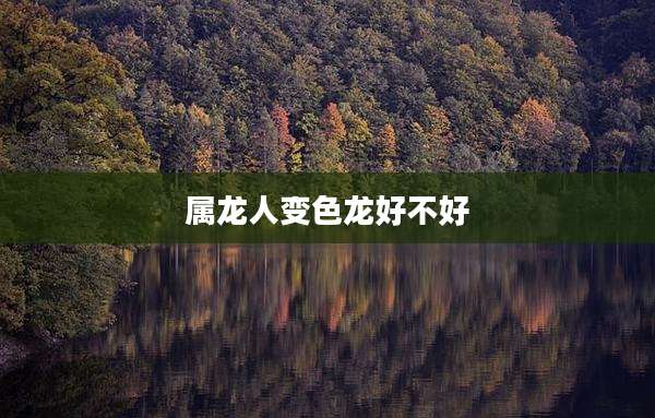 属龙人变色龙好不好