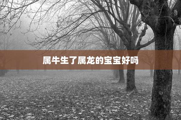 属牛生了属龙的宝宝好吗