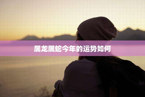 属龙属蛇今年的运势如何